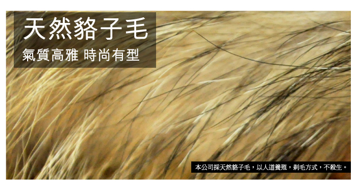 天然貉子毛氣質高雅 時尚有型本公司採天然貉子毛,以人道養殖,剃毛方式,不殺生。